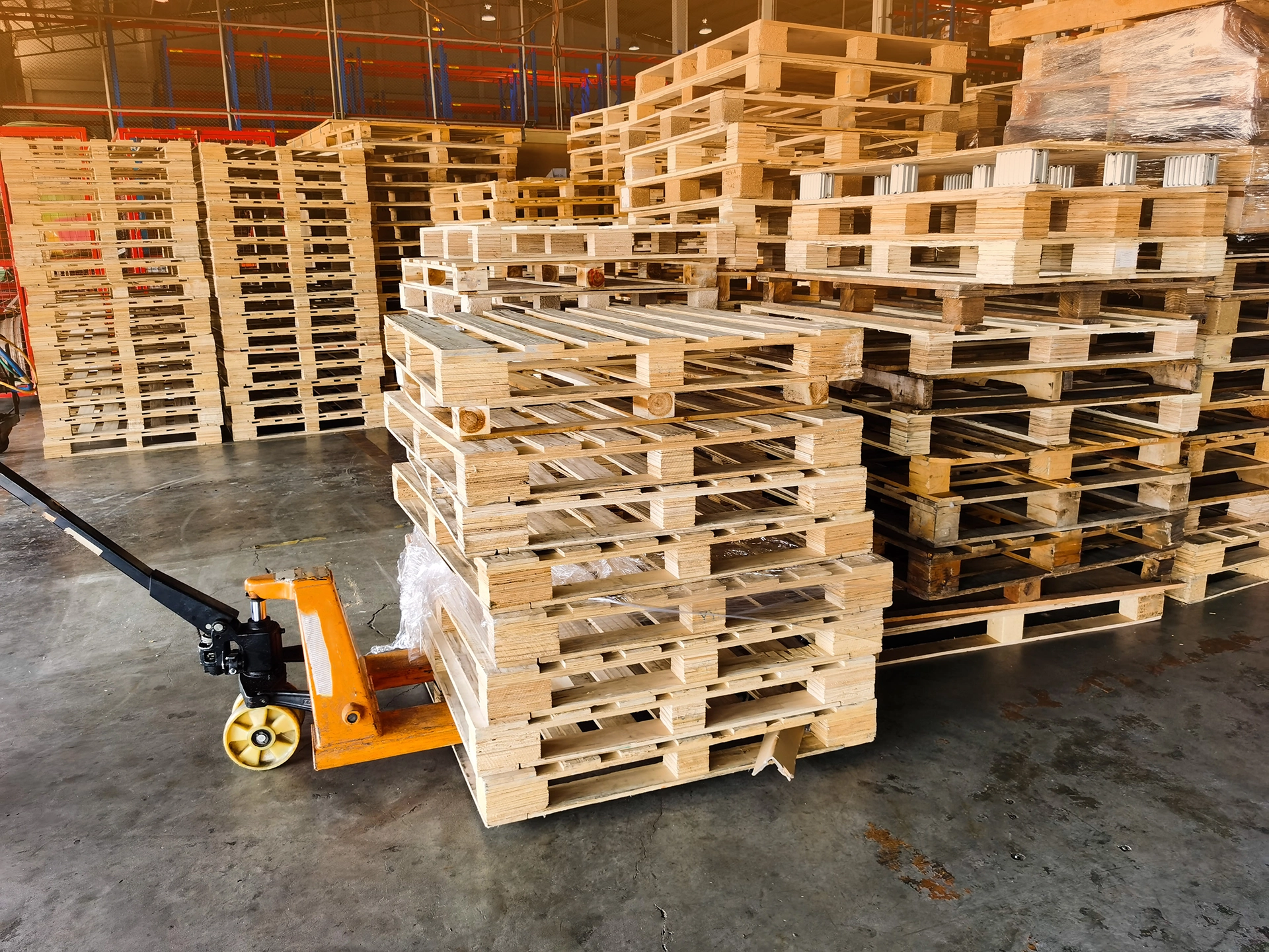 Circularity in Packaging Case Study